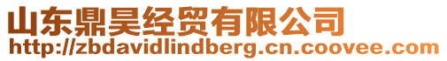 山東鼎昊經貿有限公司