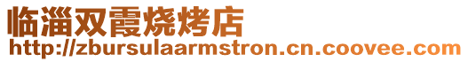 臨淄雙霞燒烤店
