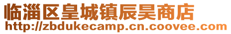 臨淄區皇城鎮辰昊商店