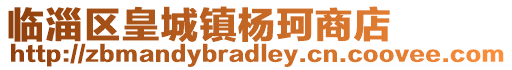 臨淄區(qū)皇城鎮(zhèn)楊珂商店