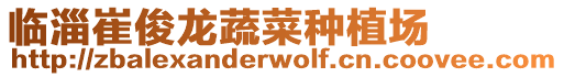 臨淄崔俊龍蔬菜種植場(chǎng)