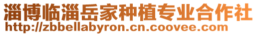 淄博臨淄岳家種植專業(yè)合作社