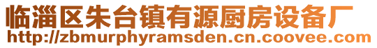 臨淄區(qū)朱臺鎮(zhèn)有源廚房設(shè)備廠