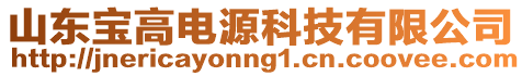 山東寶高電源科技有限公司