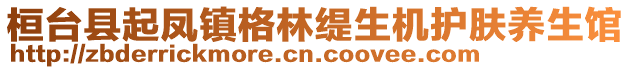 桓台县起凤镇格林缇生机护肤养生馆