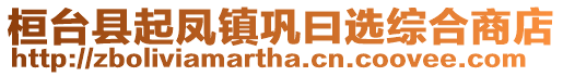 桓臺縣起鳳鎮(zhèn)鞏曰選綜合商店
