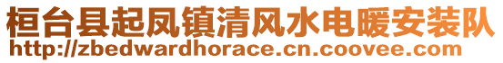 桓台县起凤镇清风水电暖安装队