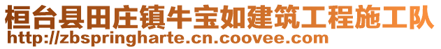 桓臺縣田莊鎮(zhèn)牛寶如建筑工程施工隊