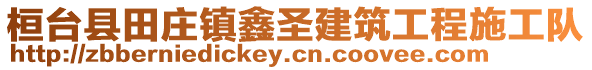 桓臺縣田莊鎮(zhèn)鑫圣建筑工程施工隊