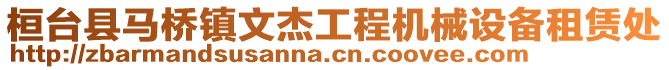 桓臺縣馬橋鎮(zhèn)文杰工程機械設(shè)備租賃處