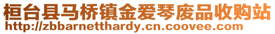 桓臺縣馬橋鎮金愛琴廢品收購站