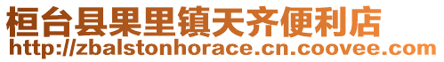 桓臺(tái)縣果里鎮(zhèn)天齊便利店