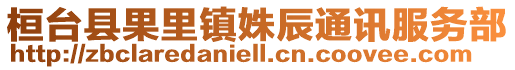 桓臺縣果里鎮姝辰通訊服務部
