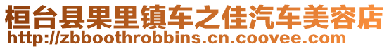 桓臺(tái)縣果里鎮(zhèn)車之佳汽車美容店