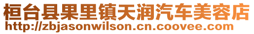 桓臺縣果里鎮(zhèn)天潤汽車美容店