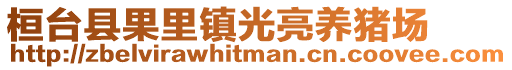 桓臺縣果里鎮(zhèn)光亮養(yǎng)豬場