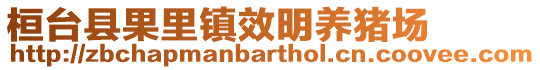 桓臺縣果里鎮效明養豬場
