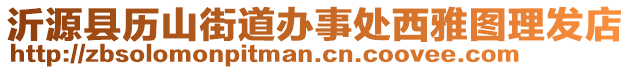 沂源縣歷山街道辦事處西雅圖理發(fā)店