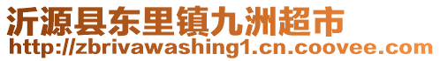 沂源縣東里鎮(zhèn)九洲超市