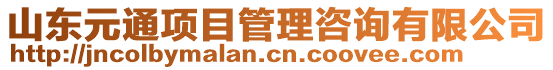 山東元通項目管理咨詢有限公司