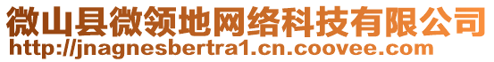 微山縣微領(lǐng)地網(wǎng)絡(luò)科技有限公司