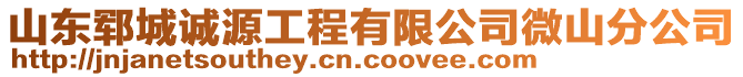 山东郓城诚源工程有限公司微山分公司