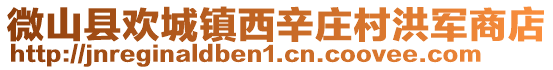 微山縣歡城鎮(zhèn)西辛莊村洪軍商店