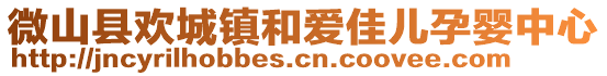 微山县欢城镇和爱佳儿孕婴中心