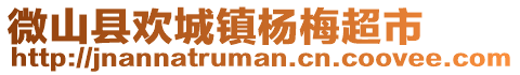 微山縣歡城鎮(zhèn)楊梅超市