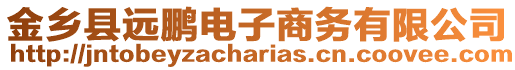 金鄉(xiāng)縣遠鵬電子商務(wù)有限公司