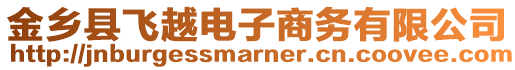 金鄉(xiāng)縣飛越電子商務(wù)有限公司