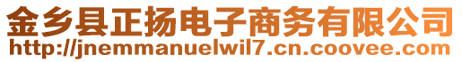 金鄉(xiāng)縣正揚電子商務(wù)有限公司