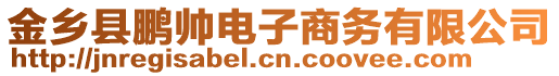 金鄉(xiāng)縣鵬帥電子商務(wù)有限公司