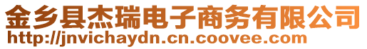 金鄉(xiāng)縣杰瑞電子商務(wù)有限公司