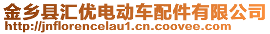 金鄉(xiāng)縣匯優(yōu)電動車配件有限公司