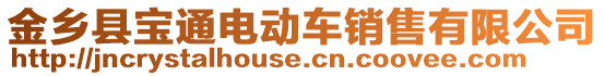 金鄉(xiāng)縣寶通電動車銷售有限公司