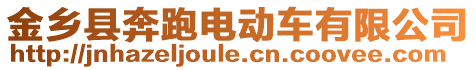 金鄉(xiāng)縣奔跑電動車有限公司