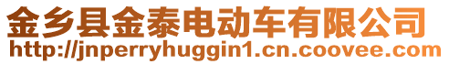 金鄉(xiāng)縣金泰電動車有限公司