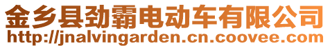 金鄉(xiāng)縣勁霸電動(dòng)車(chē)有限公司