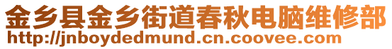 金鄉(xiāng)縣金鄉(xiāng)街道春秋電腦維修部