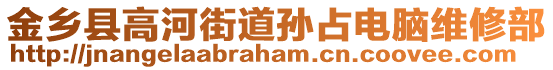 金鄉(xiāng)縣高河街道孫占電腦維修部