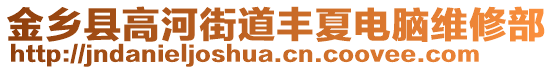 金鄉(xiāng)縣高河街道豐夏電腦維修部