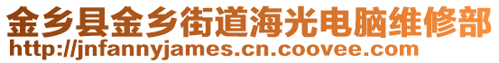 金鄉(xiāng)縣金鄉(xiāng)街道海光電腦維修部