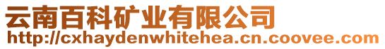 云南百科礦業有限公司