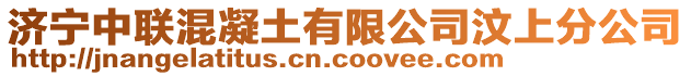 济宁中联混凝土有限公司汶上分公司