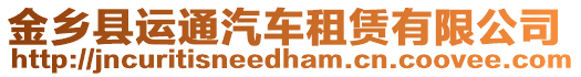 金鄉(xiāng)縣運(yùn)通汽車租賃有限公司