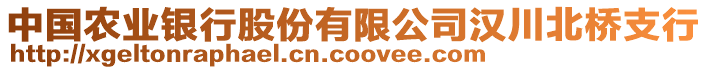 中國農(nóng)業(yè)銀行股份有限公司漢川北橋支行