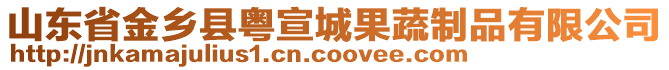 山東省金鄉(xiāng)縣粵宣城果蔬制品有限公司