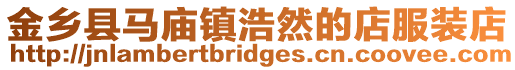 金鄉(xiāng)縣馬廟鎮(zhèn)浩然的店服裝店