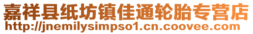 嘉祥縣紙坊鎮(zhèn)佳通輪胎專營店